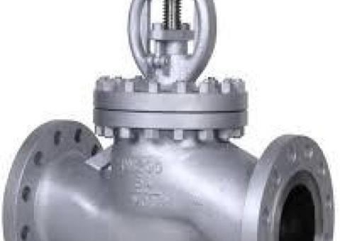 GLOBE VALVES IN KOLKATA